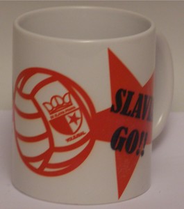 cup slavia volleyball